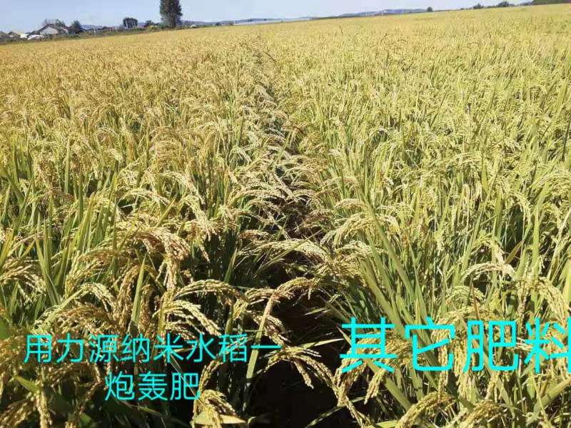 &#38886;&#24503;&#32593;&#31449;&#45;&#40;&#20013;&#22269;&#41;&#26377;&#38480;&#36131;&#20219;&#38886;&#24503;&#32593;&#31449;